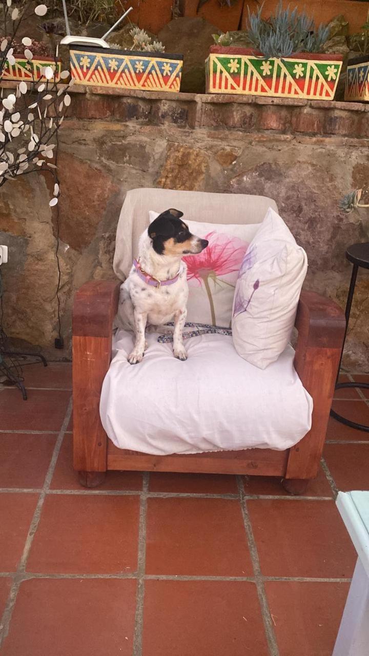 Casa Hotel San Pedro Villa de Leyva Eksteriør billede